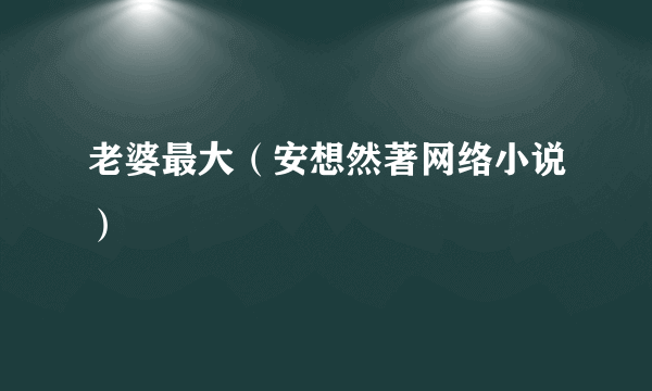 老婆最大（安想然著网络小说）