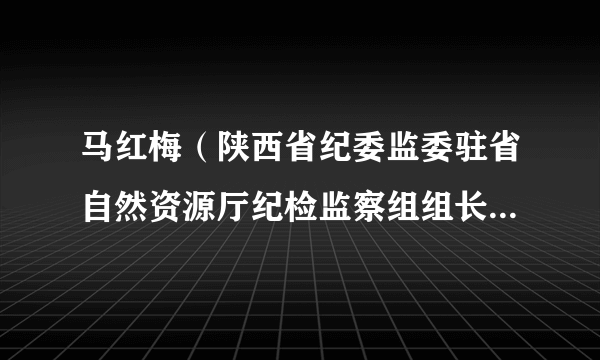 马红梅（陕西省纪委监委驻省自然资源厅纪检监察组组长、厅党组成员）