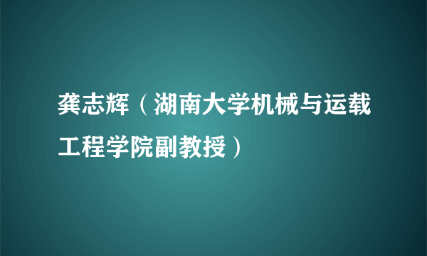 龚志辉（湖南大学机械与运载工程学院副教授）