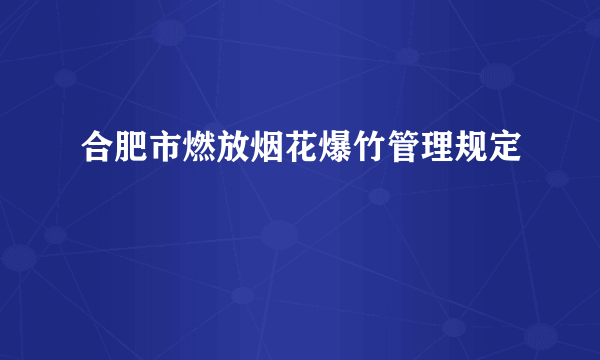 合肥市燃放烟花爆竹管理规定