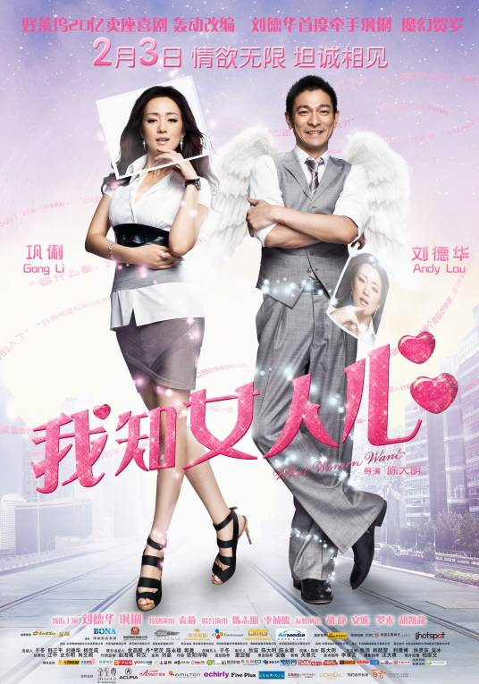 我知女人心（2011年刘德华、巩俐主演电影）