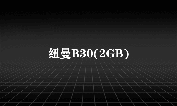 纽曼B30(2GB)