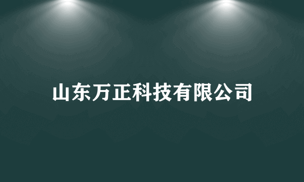 山东万正科技有限公司