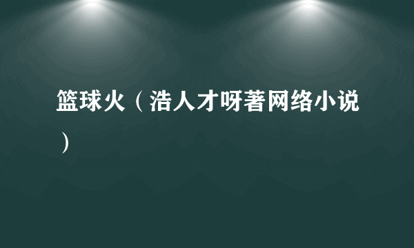 篮球火（浩人才呀著网络小说）