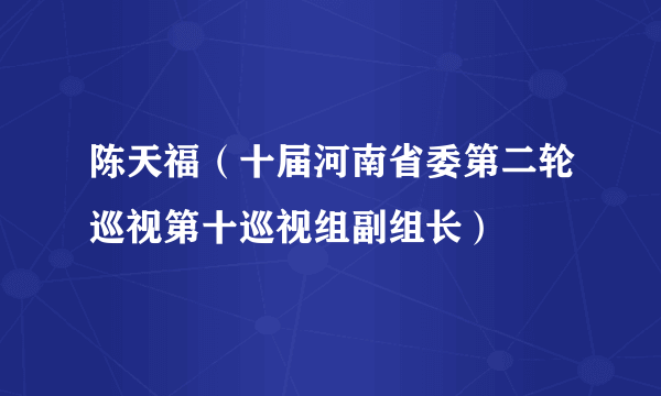 陈天福（十届河南省委第二轮巡视第十巡视组副组长）