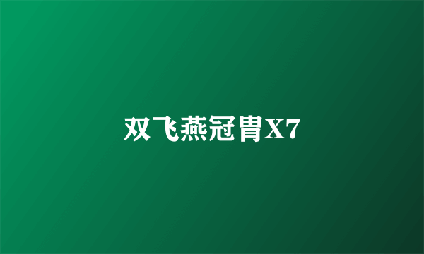 双飞燕冠胄X7