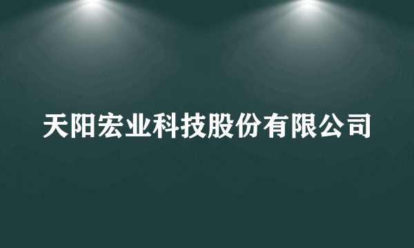 天阳宏业科技股份有限公司