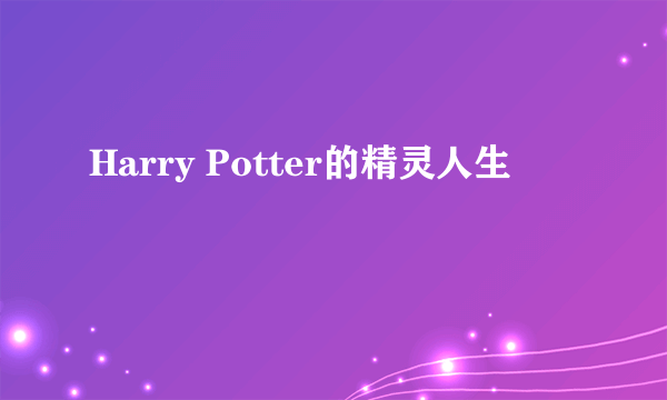 Harry Potter的精灵人生