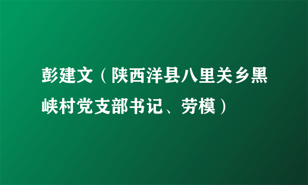 彭建文（陕西洋县八里关乡黑峡村党支部书记、劳模）