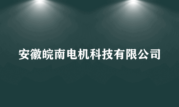 安徽皖南电机科技有限公司