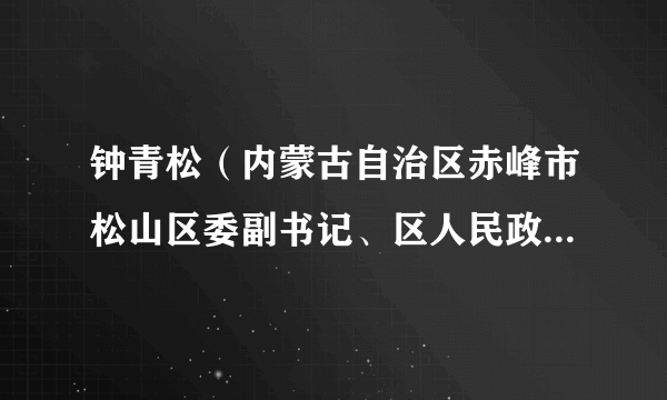 钟青松（内蒙古自治区赤峰市松山区委副书记、区人民政府区长）