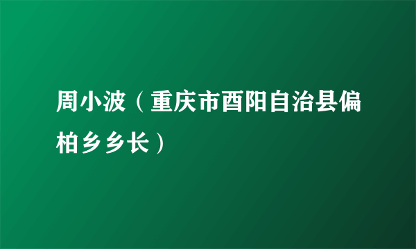 周小波（重庆市酉阳自治县偏柏乡乡长）