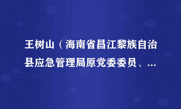 王树山（海南省昌江黎族自治县应急管理局原党委委员、副局长）