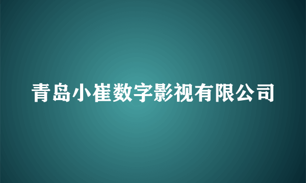 青岛小崔数字影视有限公司