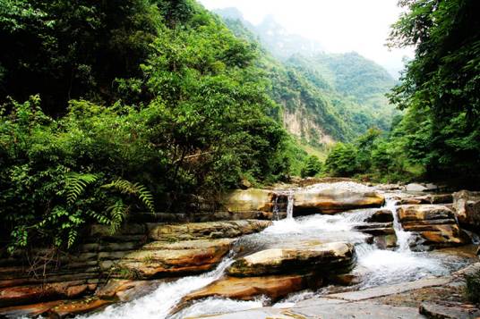 油杉河风景区