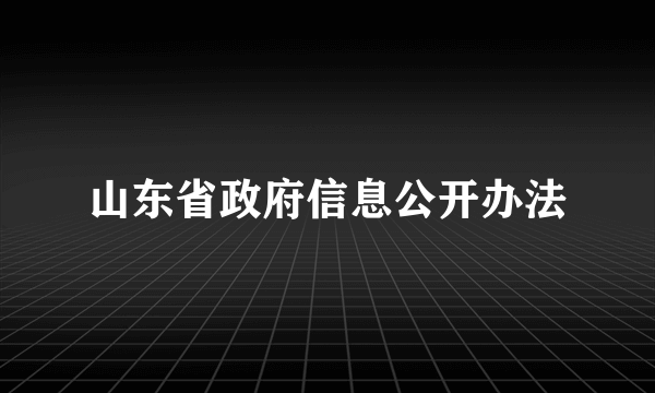 山东省政府信息公开办法