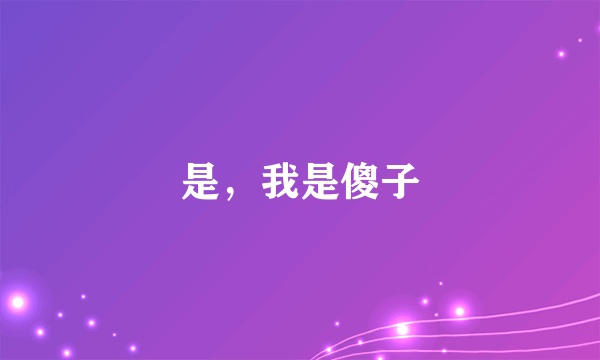 是，我是傻子