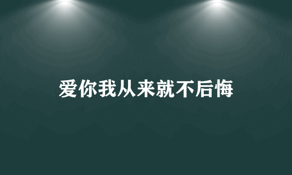 爱你我从来就不后悔