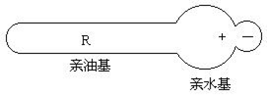 两性表面活性剂