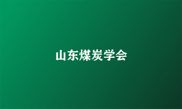 山东煤炭学会