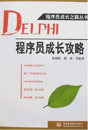 DELPHI程序员成长攻略（2007年水利水电出版社出版的图书）