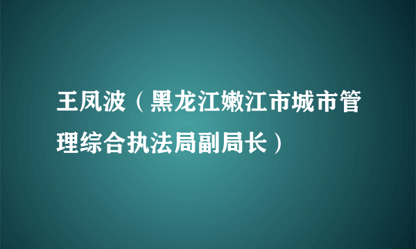 王凤波（黑龙江嫩江市城市管理综合执法局副局长）