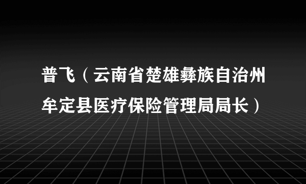 普飞（云南省楚雄彝族自治州牟定县医疗保险管理局局长）