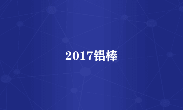 2017铝棒