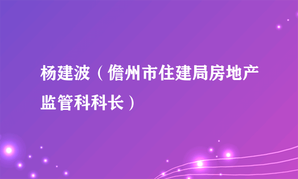 杨建波（儋州市住建局房地产监管科科长）