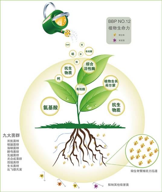 微量元素氨基酸螯合物