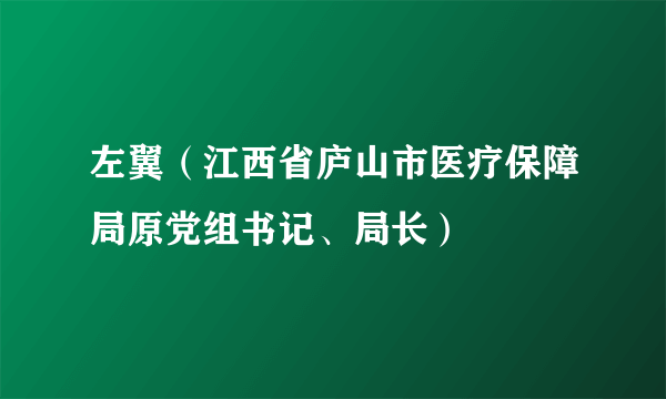 左翼（江西省庐山市医疗保障局原党组书记、局长）