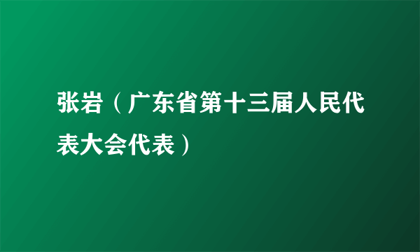 张岩（广东省第十三届人民代表大会代表）