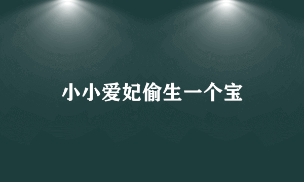 小小爱妃偷生一个宝