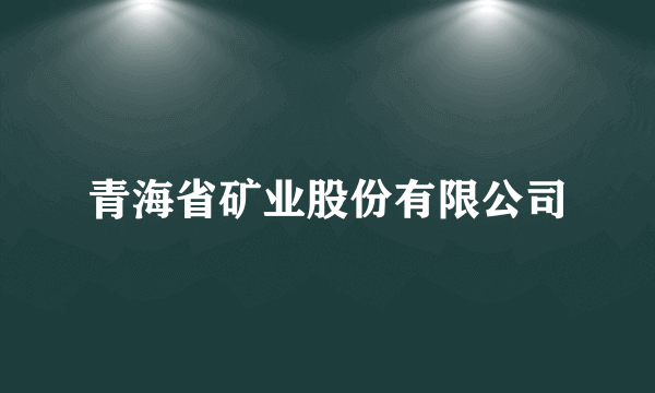 青海省矿业股份有限公司