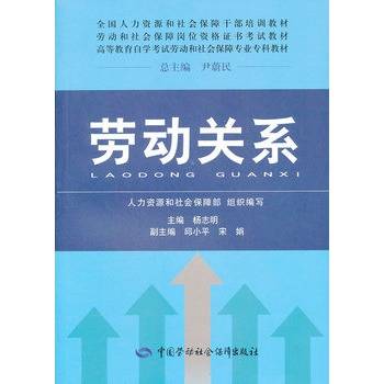 劳动关系（2004年中国劳动社会保障出版社出版的图书）