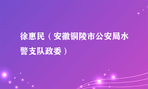 徐惠民（安徽铜陵市公安局水警支队政委）