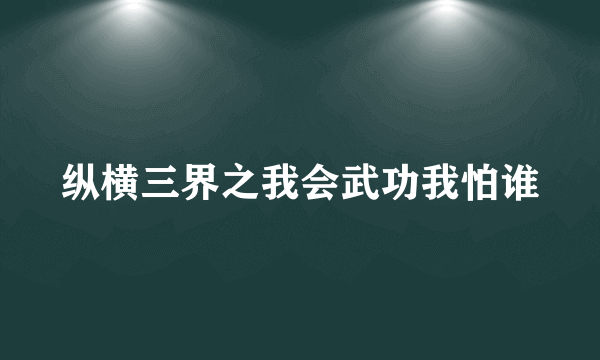 纵横三界之我会武功我怕谁