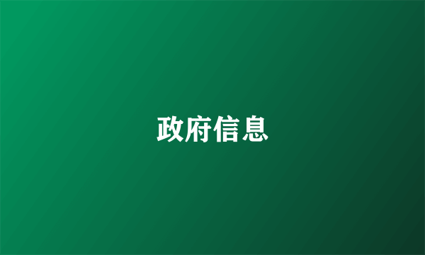 政府信息