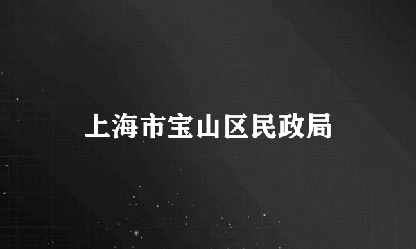 上海市宝山区民政局