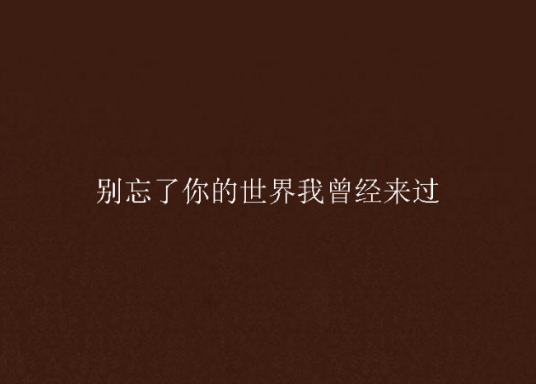 别忘了你的世界我曾经来过（网络小说）