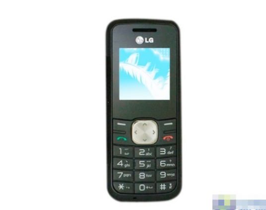 LG GS101