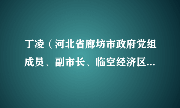 丁凌（河北省廊坊市政府党组成员、副市长、临空经济区党工委书记）