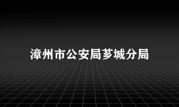 漳州市公安局芗城分局