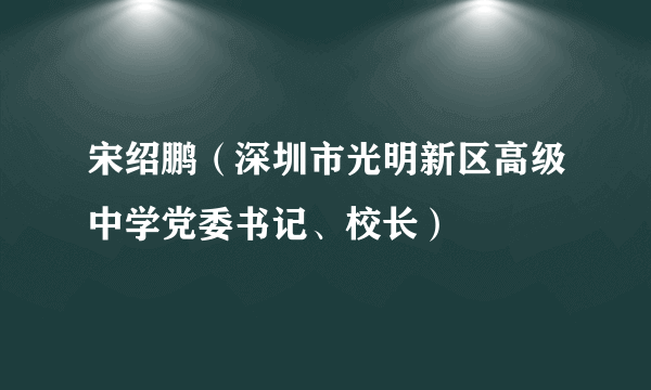 宋绍鹏（深圳市光明新区高级中学党委书记、校长）