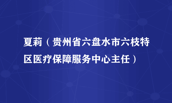 夏莉（贵州省六盘水市六枝特区医疗保障服务中心主任）