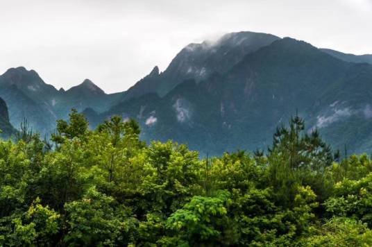 牯牛降风景区