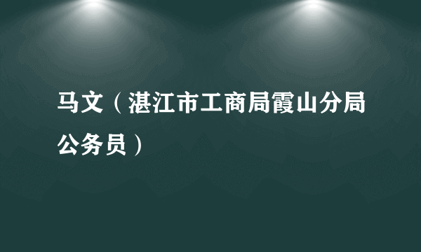 马文（湛江市工商局霞山分局公务员）