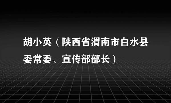 胡小英（陕西省渭南市白水县委常委、宣传部部长）