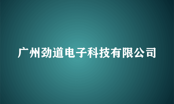 广州劲道电子科技有限公司