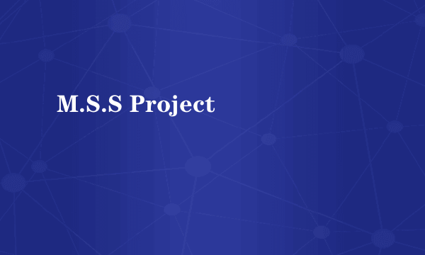 M.S.S Project